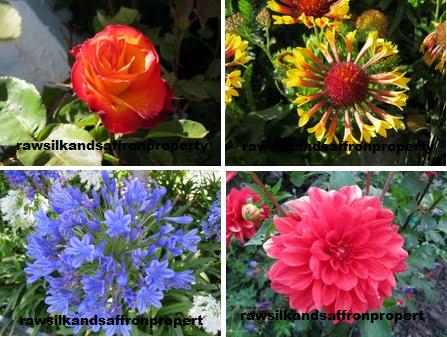 rawsilkandsaffronblog