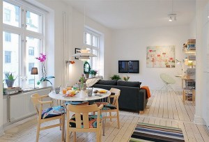 Small-Apartment-Suitable-for-a-Young-Soul1