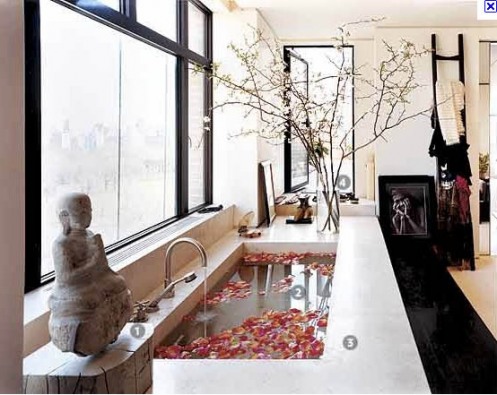 tumblr_lgizjiFHY51qaiq3ovia cbbage rose