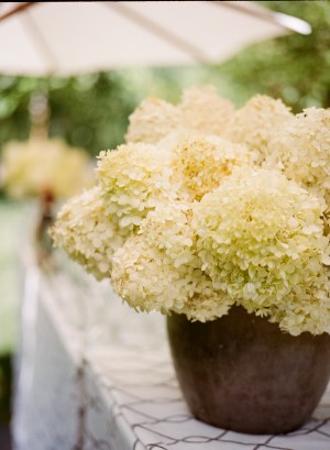 Meg-Smith-snippet-and-ink_023