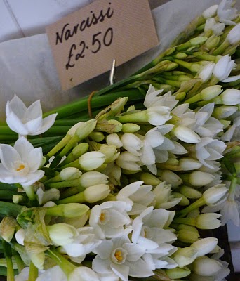 tumblr_m006z0sa6r1qzi0cpo1_400