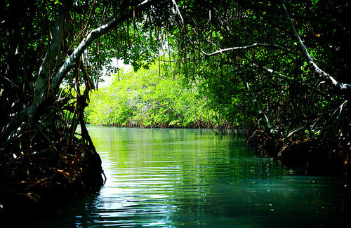 tumblr_m7to5vakVq1rvs3qfo1_500