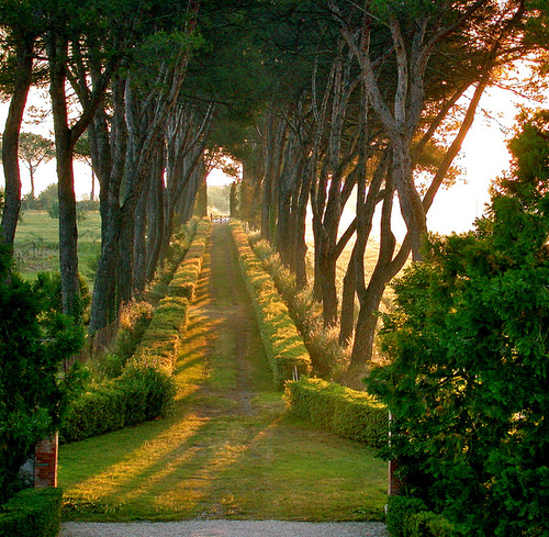 tumblr_mm7nfaAH3H1qb0bzxo1_500