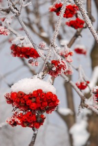 tumblr_mxb9b6I1ji1s6pvt4o1_500