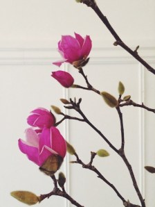 Processed with VSCOcam with f2 preset