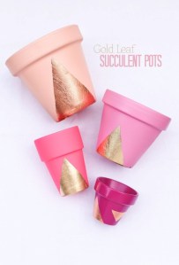 tumblr_mmmxm0Flbc1r9bipco1_500