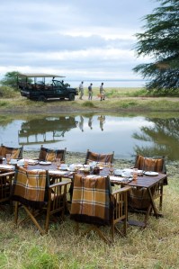 tumblr_mseqthnDWl1r06ucpo1_500