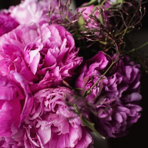 tumblr_mjiiz73U9O1r78kbwo1_500