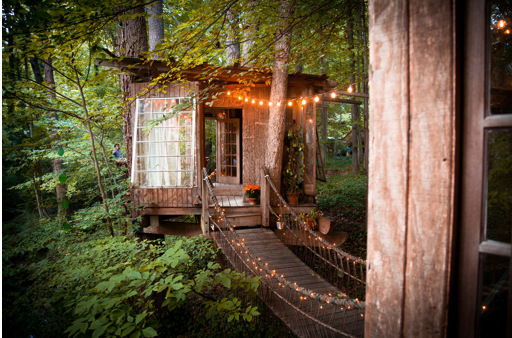 treehouse3