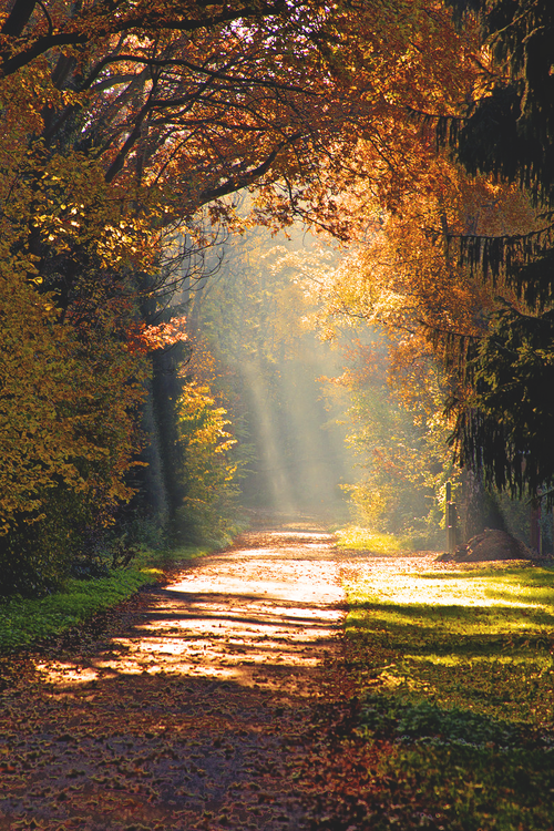 tumblr_n1j5jiobh51rqx86wo1_500