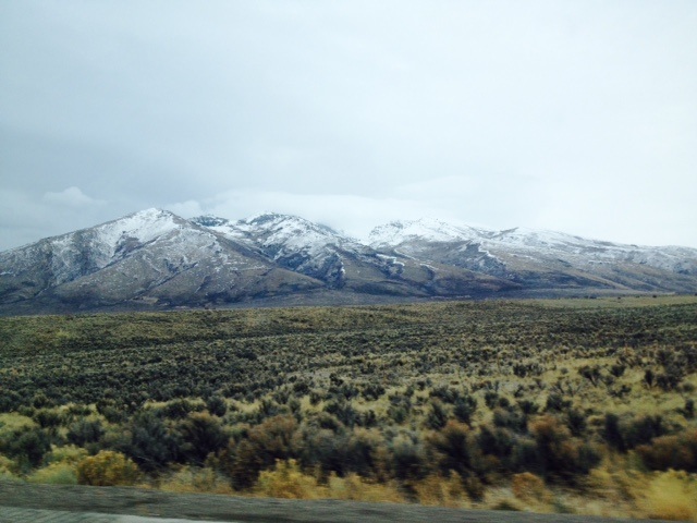 rawsilkand saffron property1