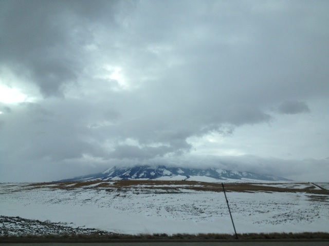 rawsilkandsaffronproperty4