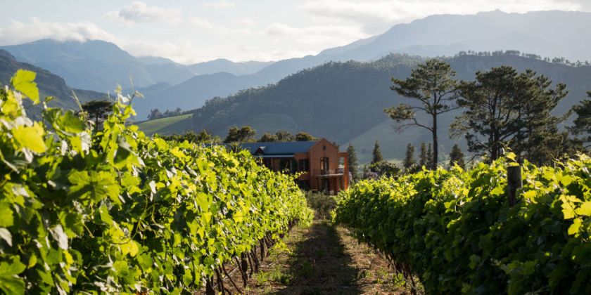 landscape-1427597635-tct040115capewinelands013