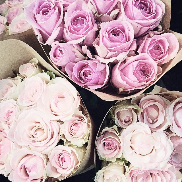 03-@annakirishima6-30-Images-16.07.15