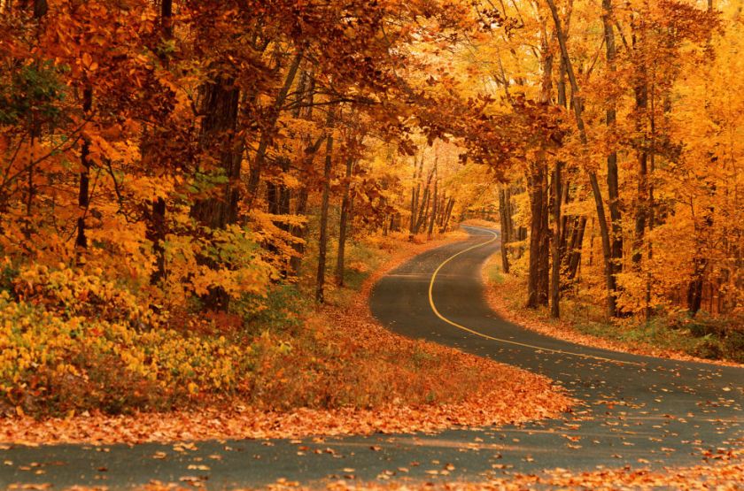 1443112614-5-gettyimages-ab21352