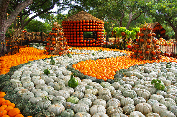 1443112624-1442606991-10-autumn-9-17-14-033edita600-1