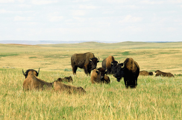 stm4f4fa7d9ecedb20120301