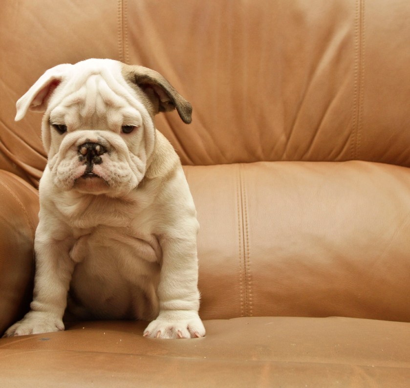 tumblr_n70oo2jF121qei7a7o1_1280