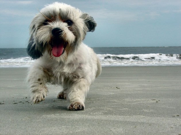 tumblr_nh8jq9jcz21qei7a7o1_1280