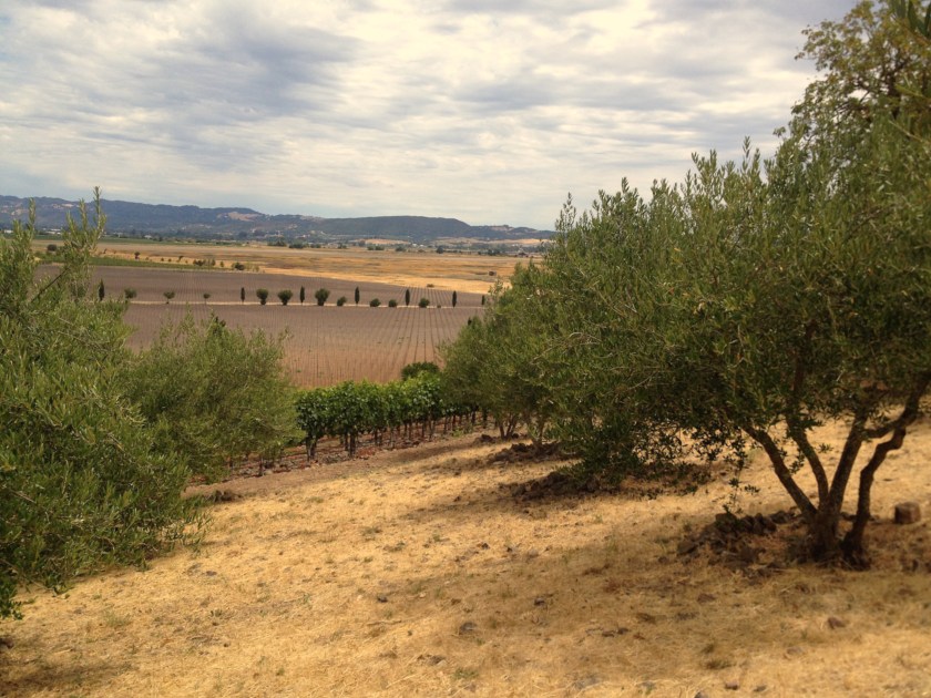 propertyofrawsilkandsaffon-napa