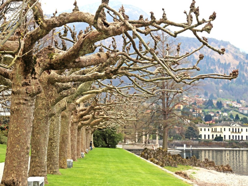 12-022-villa-Melzi-Bellagio-IMG_3117