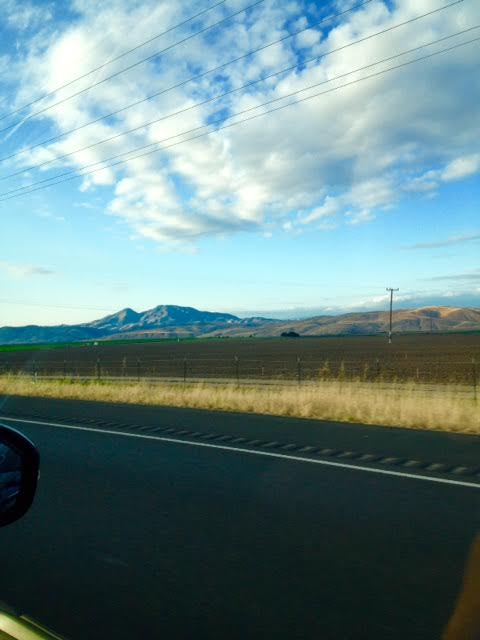 41341b9b-6de3-45c1-8e67-ad1adda4ebd1