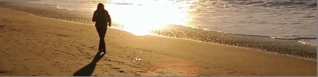 cropped-cropped-option-2