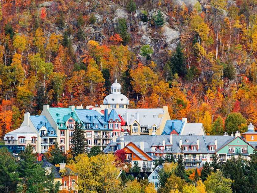 fall-foliage-laurentian-gettyimages-464712073